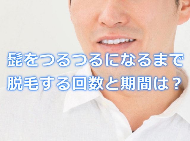 普遍的な 思いやりのある 妥協 髭 脱毛 費用 wabo.jp